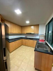 Simsville (D14), Condominium #588319031